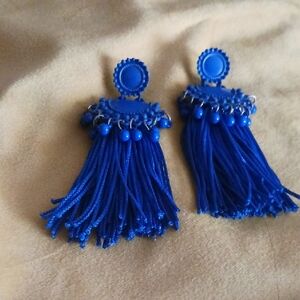 Blue Tassel Earrings